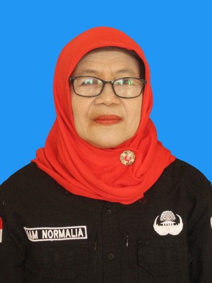 5._AAM_NORMALIA__Kaur_Keuangan_-removebg-preview