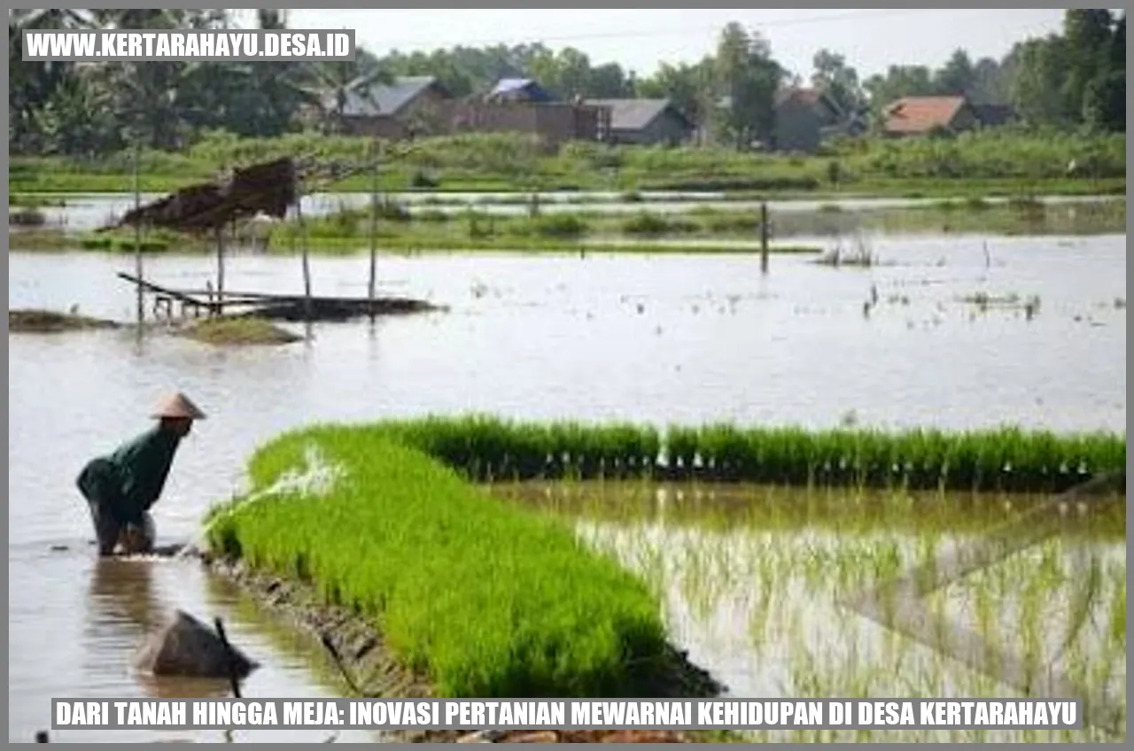 Desa Kertarahayu