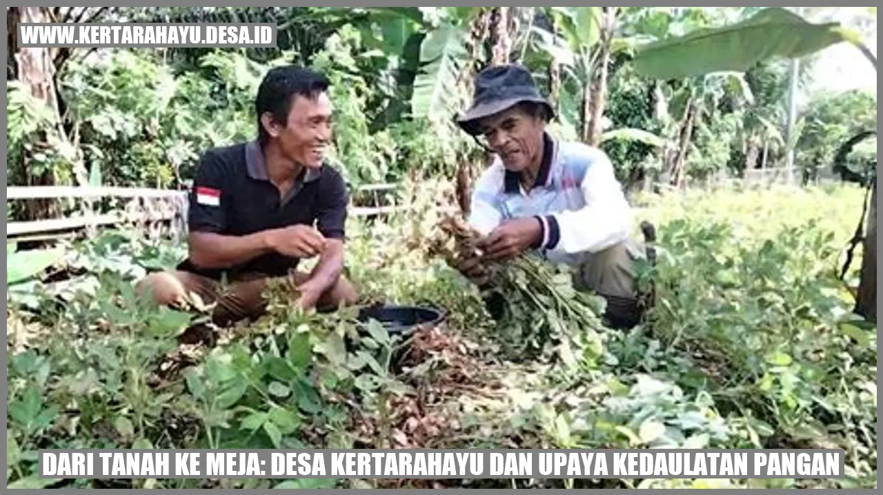 Dari Tanah ke Meja: Desa Kertarahayu dan Upaya Kedaulatan Pangan