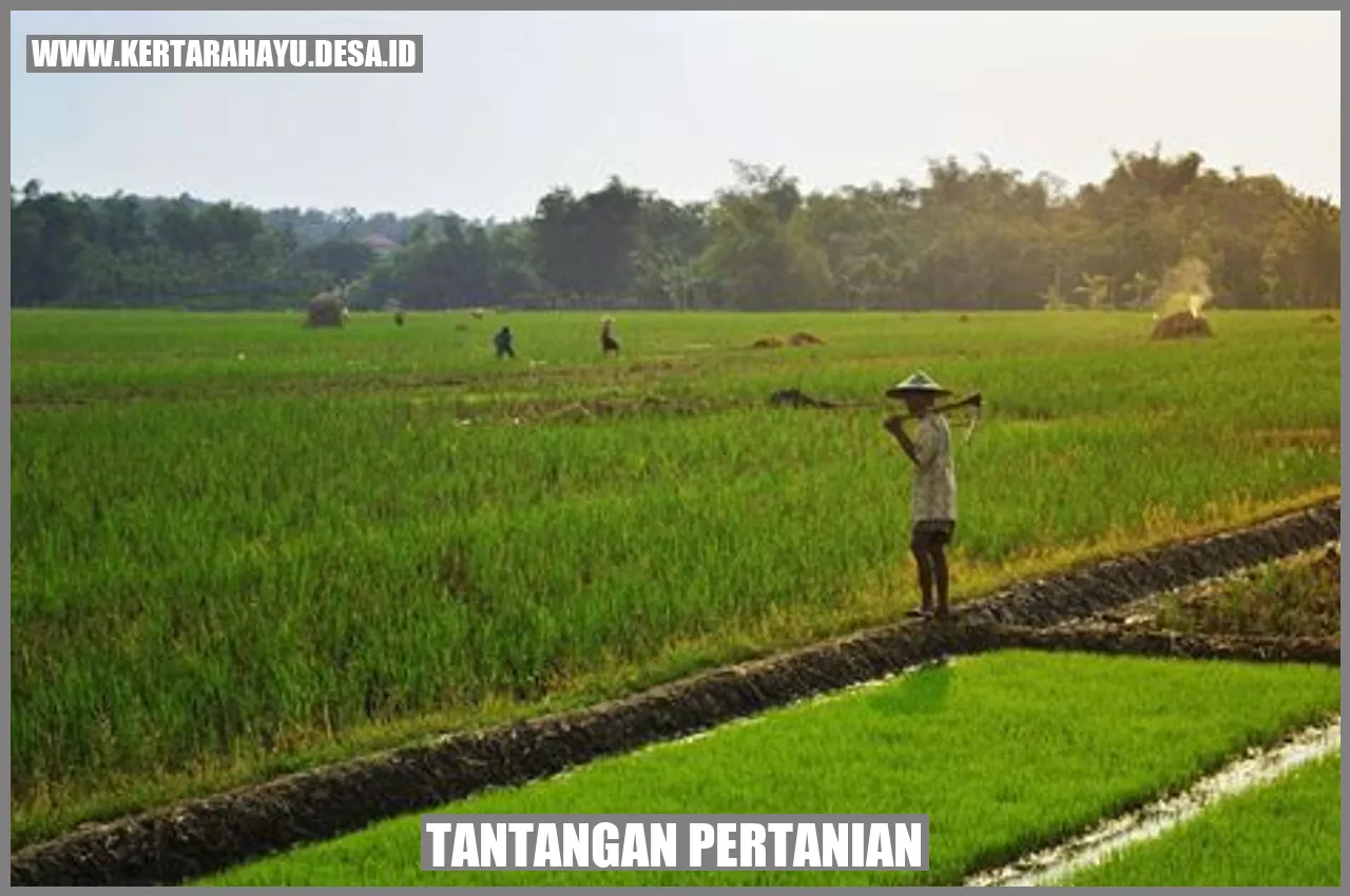 Tantangan Pertanian